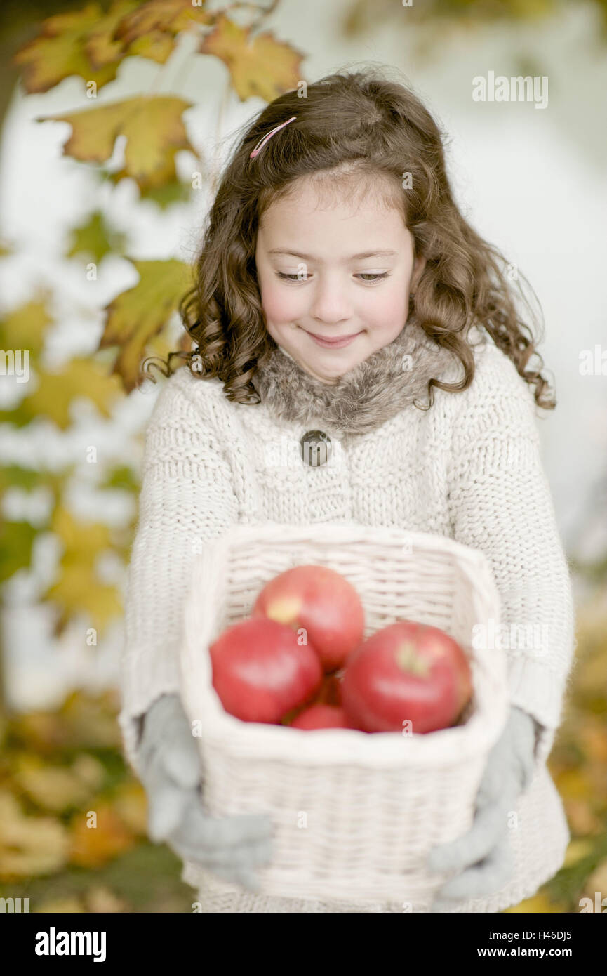 Small girl carries of a basket with apples, Stock Photo