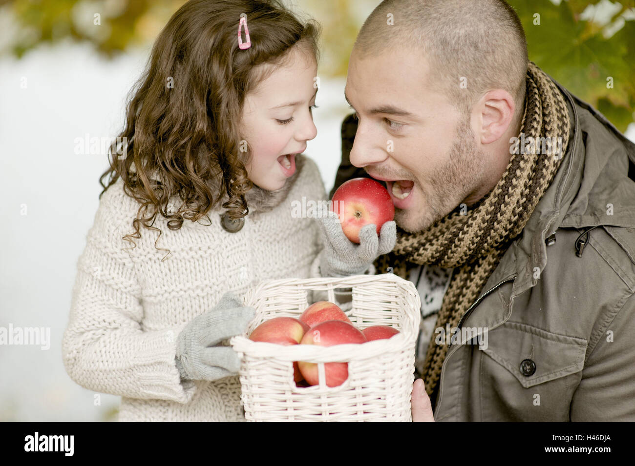 Father and subsidiary with apples, Stock Photo