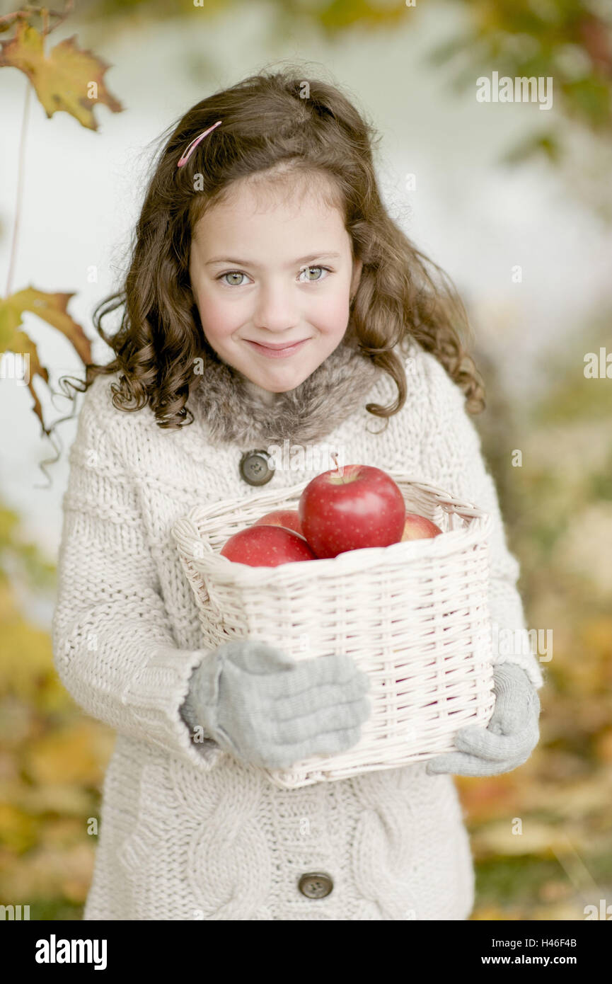 Little girl is carrying a basket with apples, Stock Photo