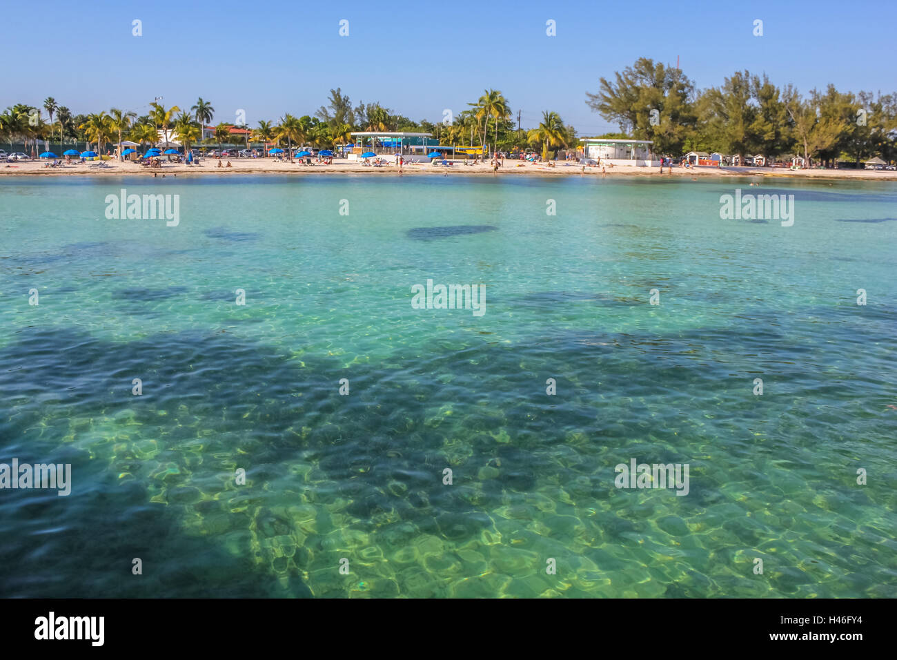 higgs beach key west higgs beach key west