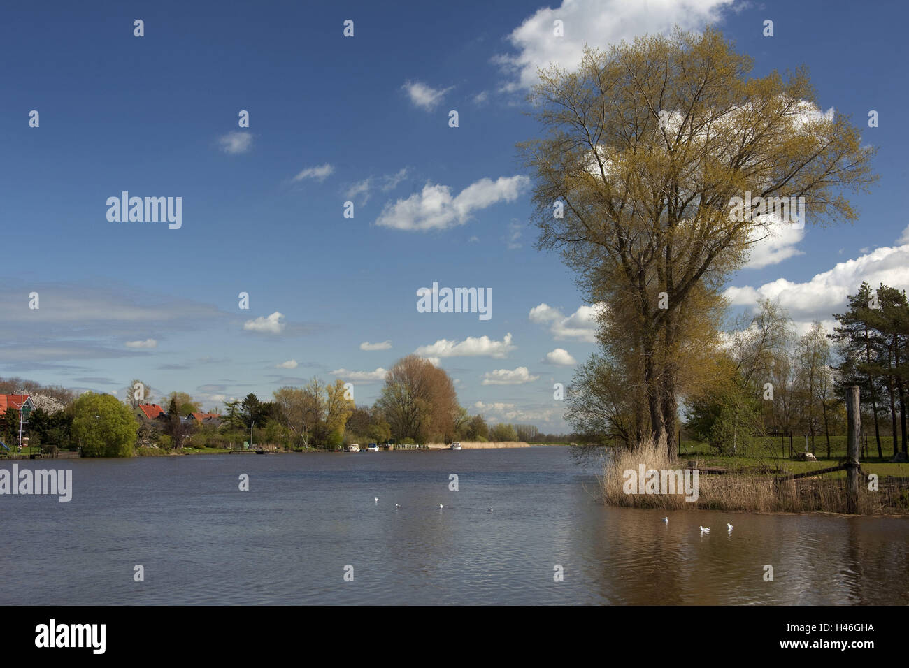 Germany, Lower Saxony,Oste (river), Osten-Hemmoor, scenery, waters, Stock Photo