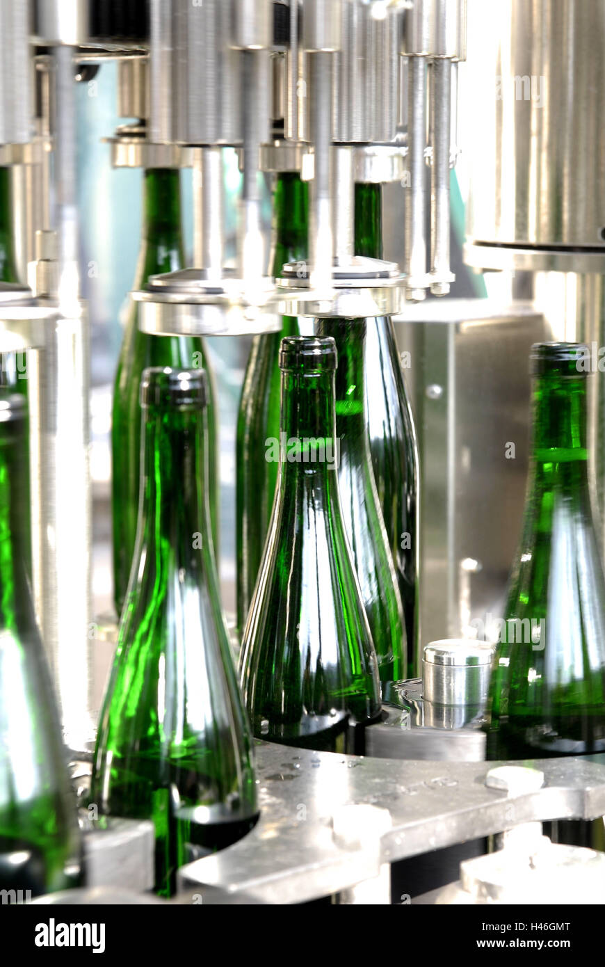 Bottles, bottling plant, vineyard Stock Photo Alamy