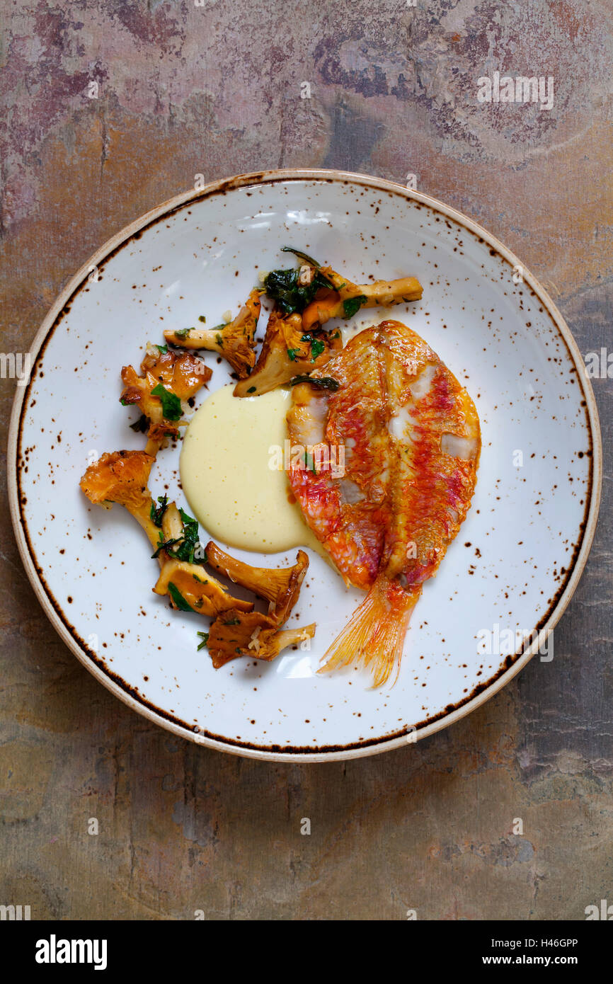 Red mullet with garlic aioli and chanterelle mushrooms Stock Photo Alamy