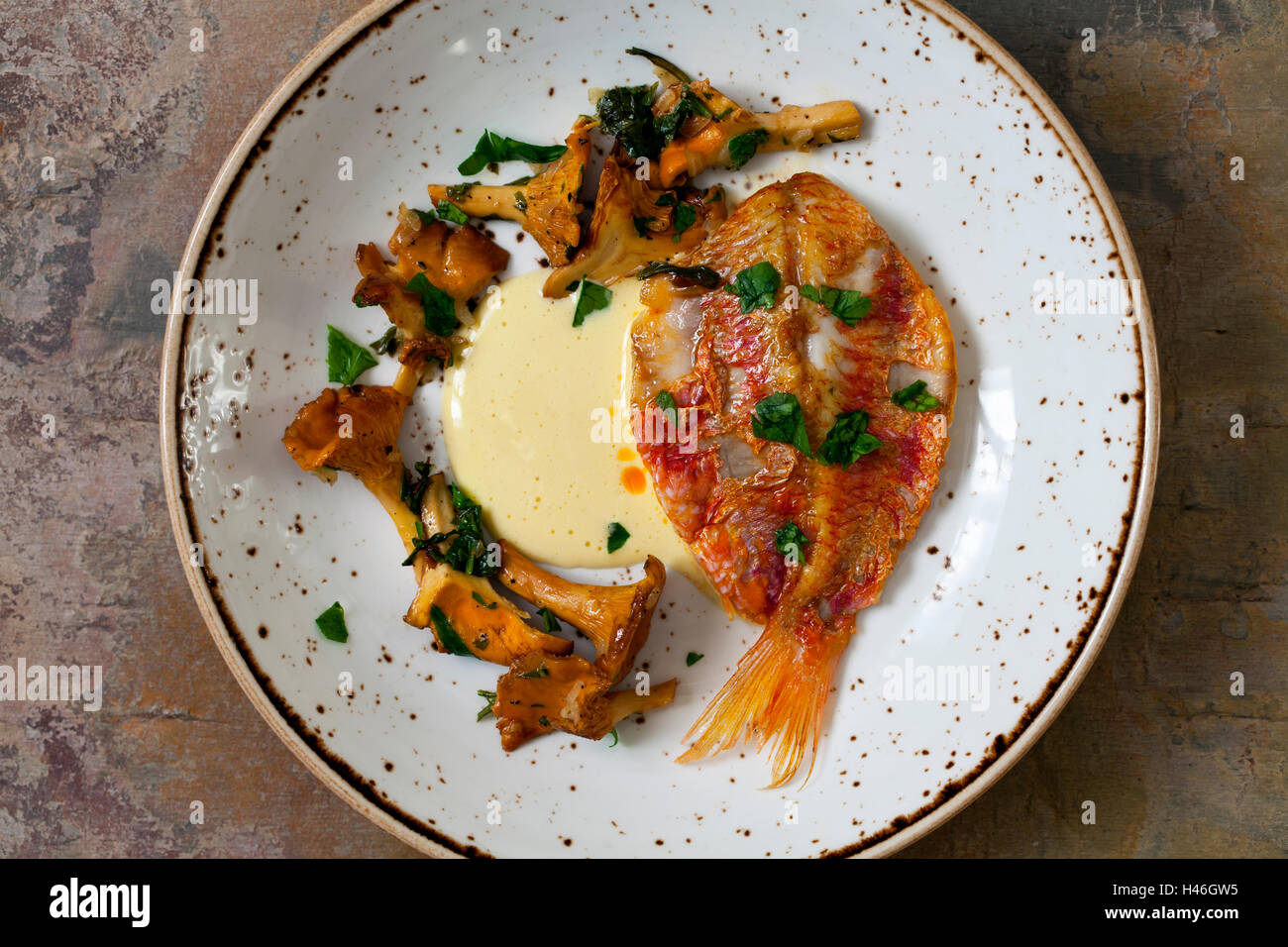 The white chanterelle mushroom hires stock photography and images Alamy