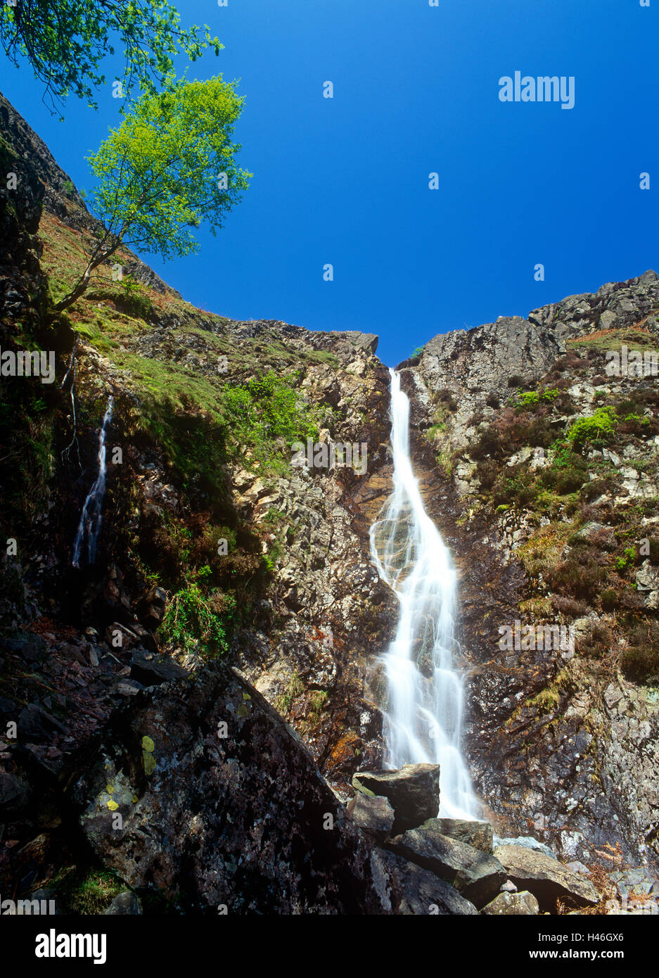 Dungeon Ghyll Force Langdale Fell Cumbria Stock Photo