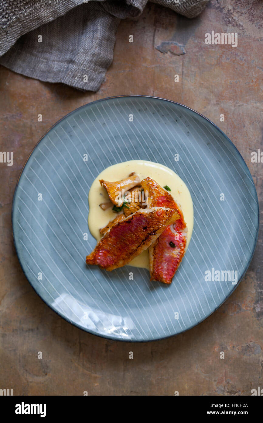 The white chanterelle mushroom hires stock photography and images Alamy