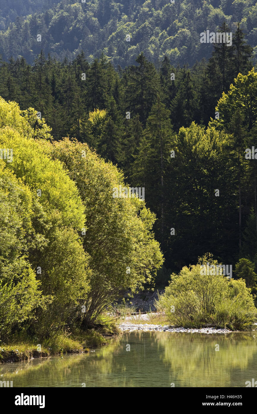 Germany, Bavaria, river landscape, the Isar Stock Photo - Alamy