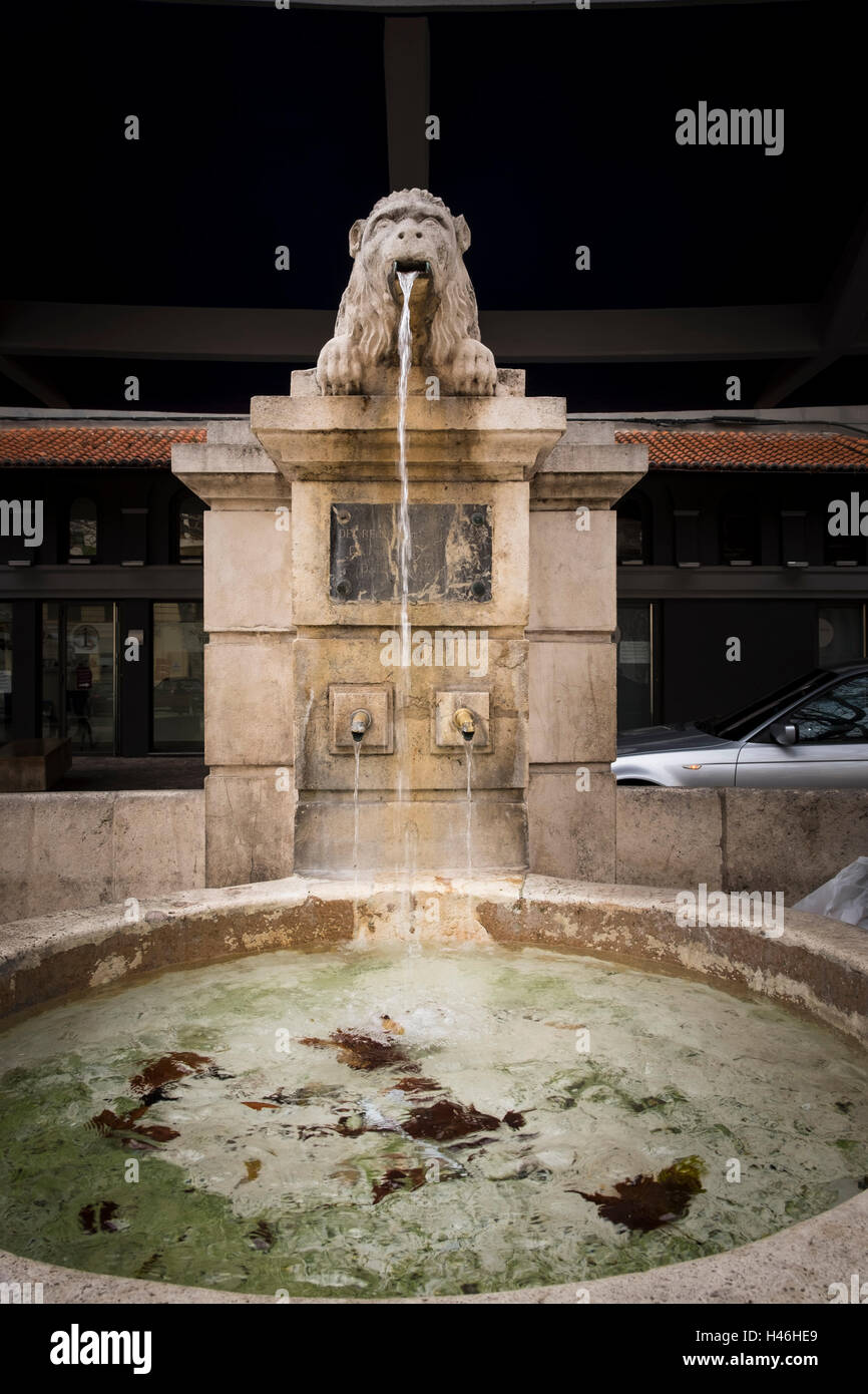Fuente Real de los Peces fountain in the Plaza del Trinquet Xativa
