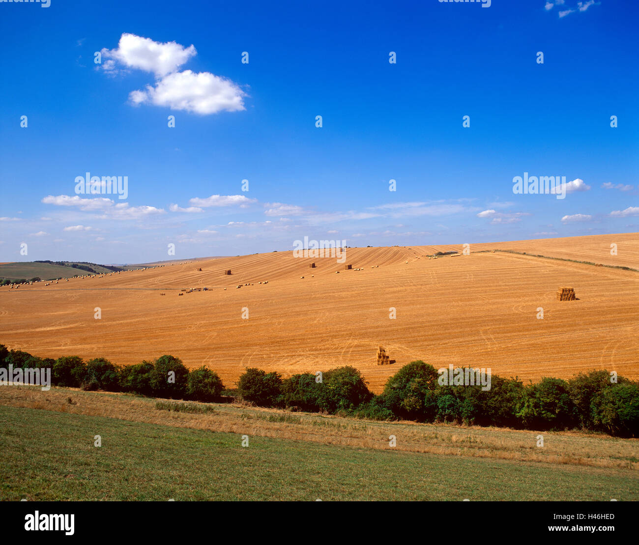 Bishops Stone East Sussex Stock Photo