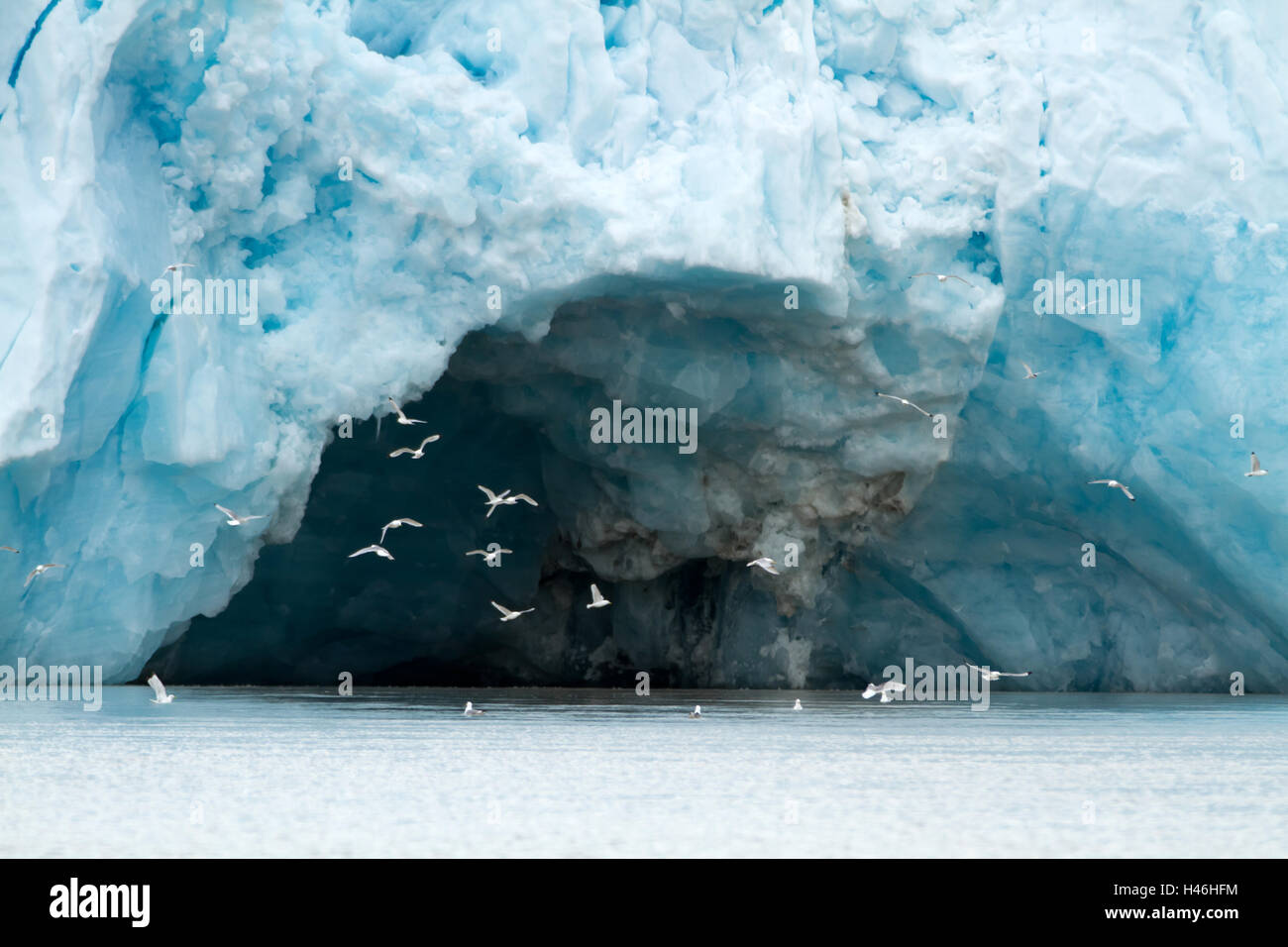 svalbard glaciers near the cost of the islands Stock Photo Alamy