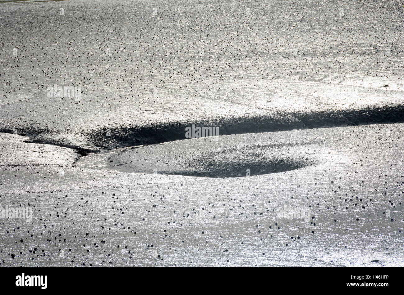 Spiral channel in tidal mud flats, Whanganui Inlet, Golden Bay, Tasman District, South Island, New Zealand Stock Photo