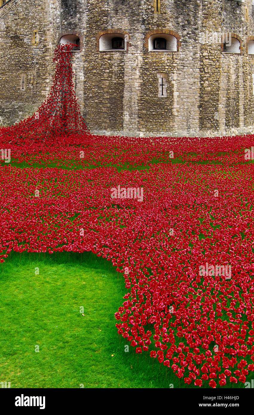 poppies and the tower of london Stock Photo - Alamy