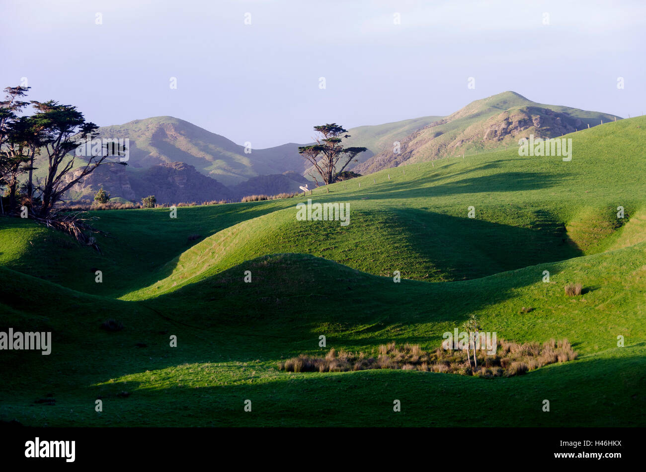 Green hills near Wharariki Beach, Golden Bay, Tasman District, South Island, New Zealand Stock Photo