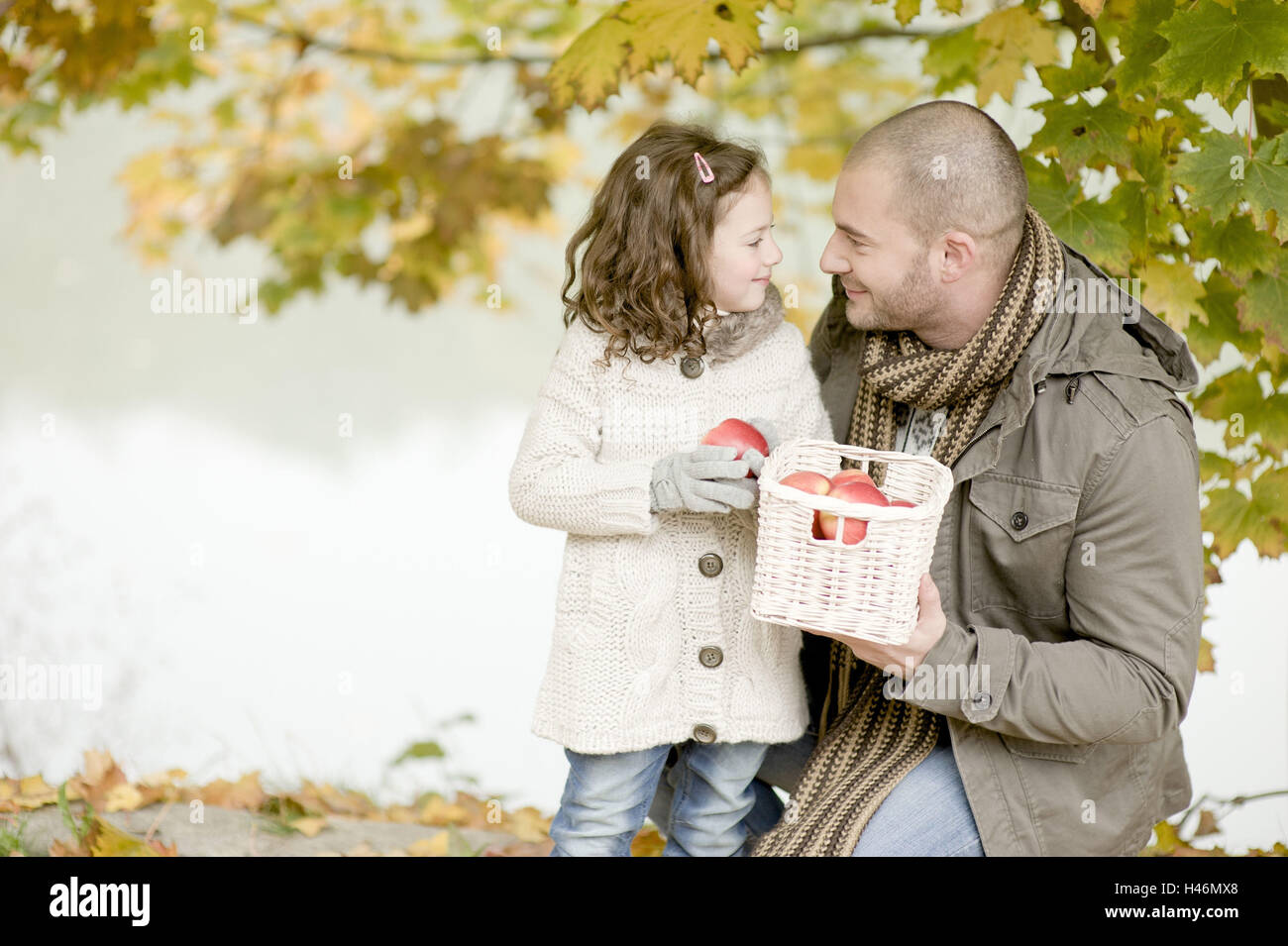 Father and subsidiary with apples, Stock Photo