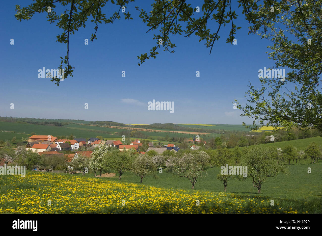 Germany, Saxony-Anhalt, Burgenland circle, stone brook, idyllic village between orchard meadows, Stock Photo