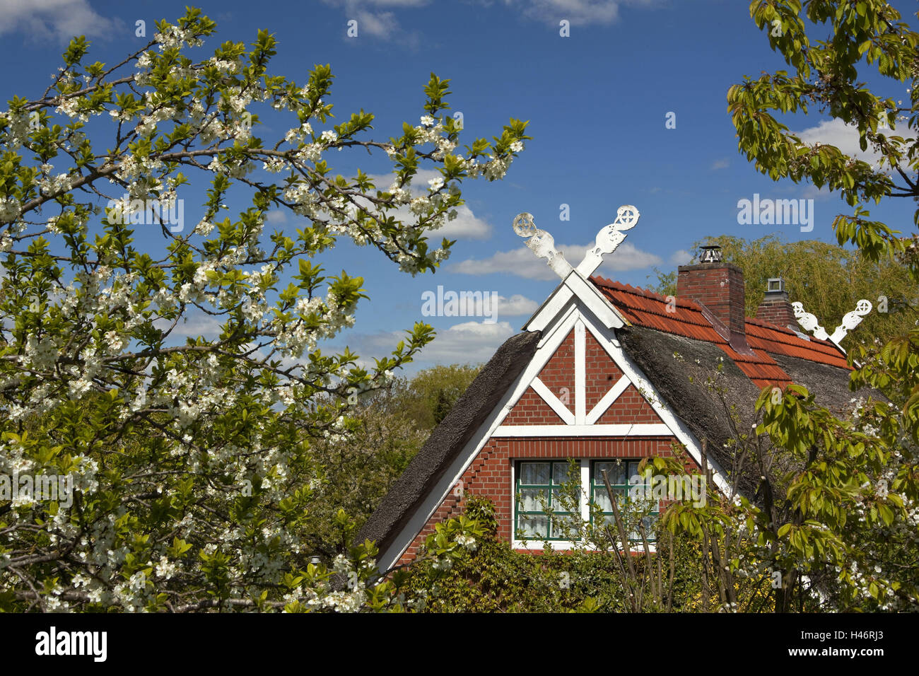 Altes land region hi-res stock photography and images - Alamy Altes land region hi-res stock photography and images - Alamy
