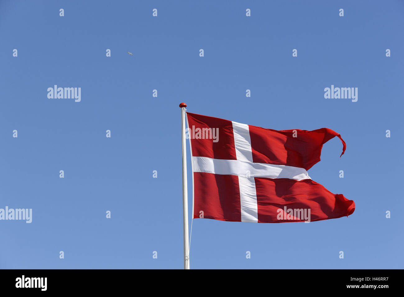 Denmark, flag, heaven, blue, national flag, flutter, blow, Jutland, ska gene, Stock Photo