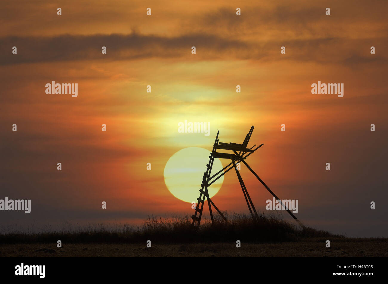 perch, sunset, [M] Stock Photo - Alamy
