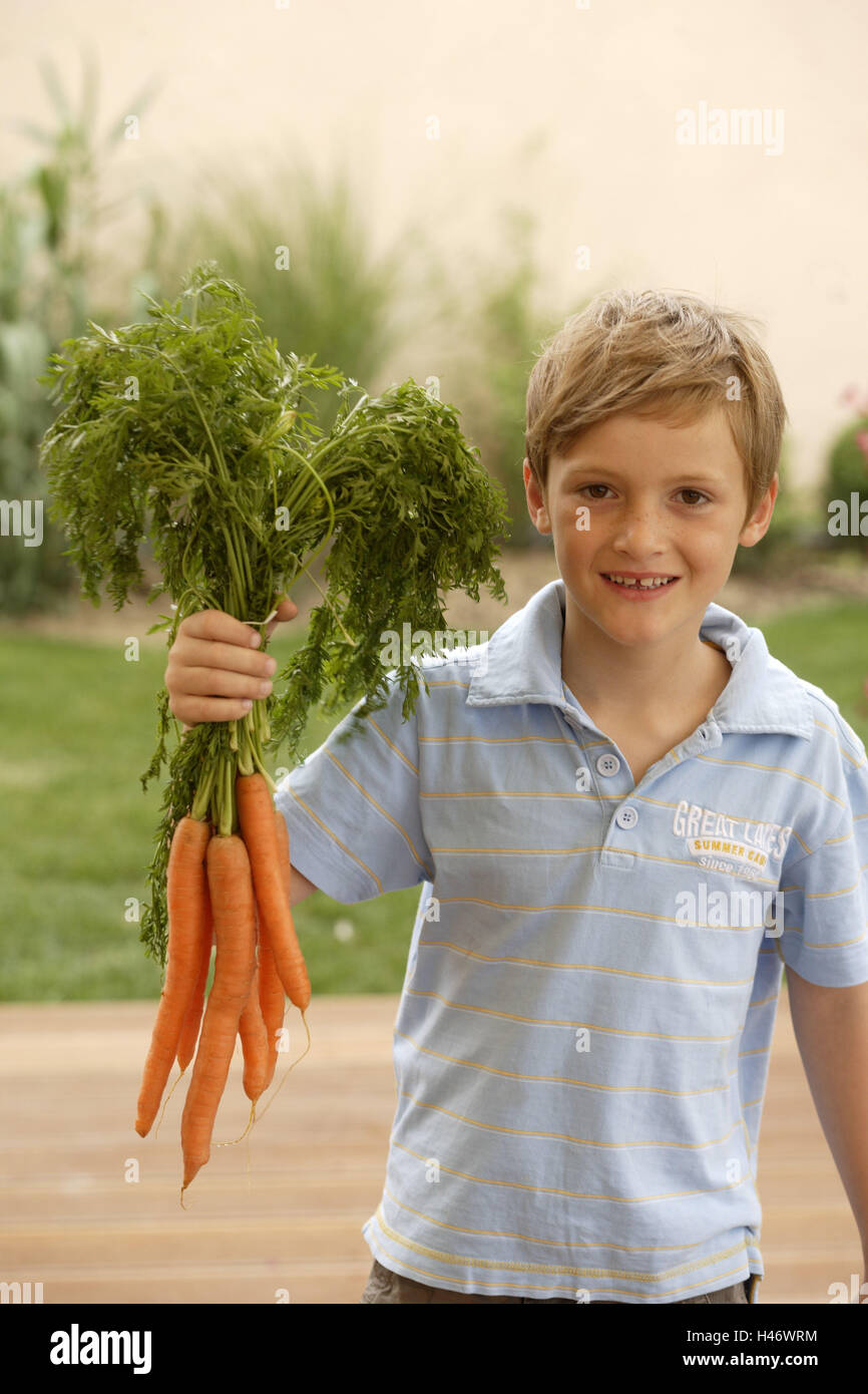 Child, boy, carrot bundle, hold, smile, outside, view camera, half portrait, Stock Photo