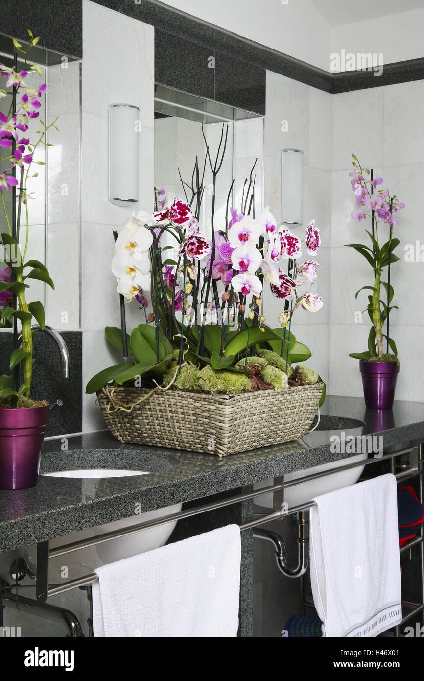 Orchids, blossom, basket, Dendrobium Emma, bathroom, Phalaenopsis, flowers, exotic, tropical, plant, blossoms, beauty, Flechtkorb, moss, pink, pink, ambience, bath, sink, style, tap, towels, armature, lifestyle, clipboard, modern, ornamentally, interior, Stock Photo
