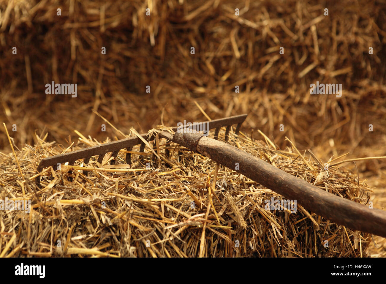 Farm, straw bale, rake Stock Photo - Alamy