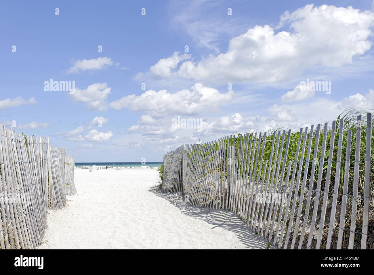 Beach path, Lummus Park, Miami South Beach, Art Deco District, Florida, USA, Stock Photo