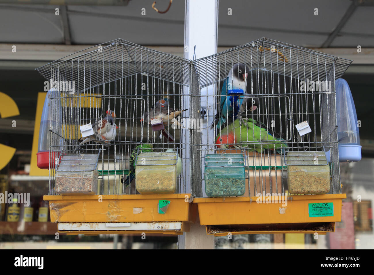birdcages in Agia Napa on Cyprus Stock Photo Alamy