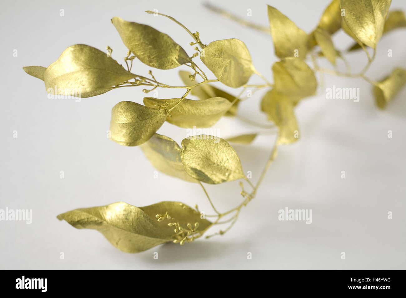 Gilt sprig mistletoe, Stock Photo