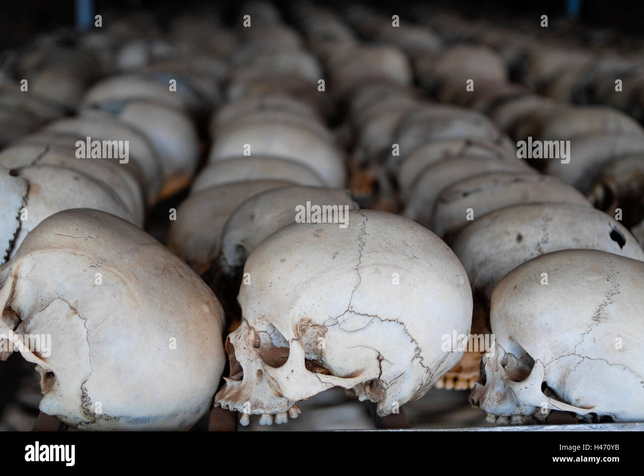 RWANDA Genocide memorial Ntarama , during the genocide in April 1994 about 5000 Tutsi people were killed by Hutu murder in this church, skulls and bones of murdered people in mass grave Stock Photo