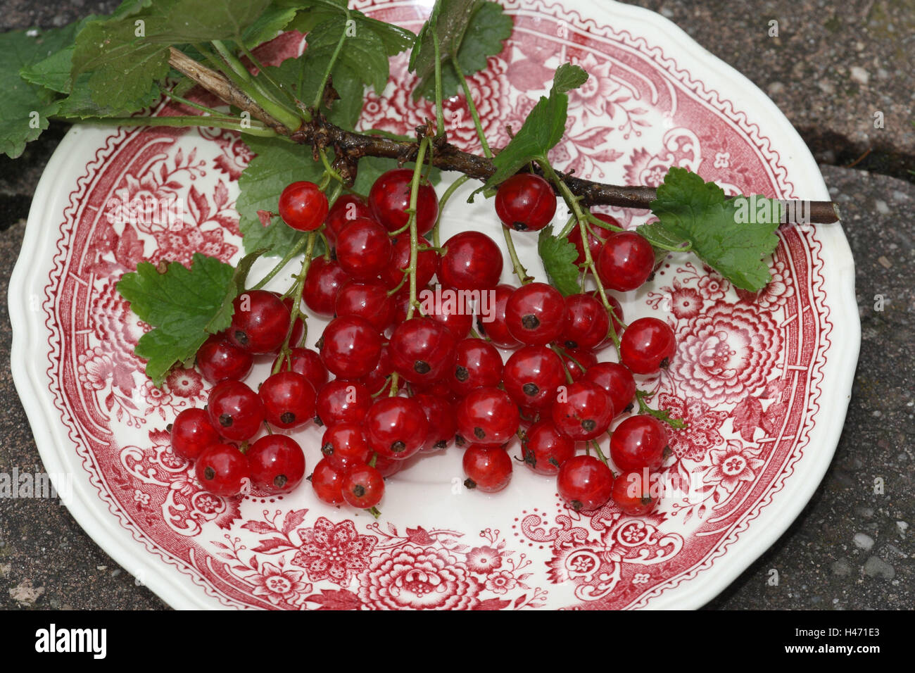 Red currants on a plate, Stock Photo
