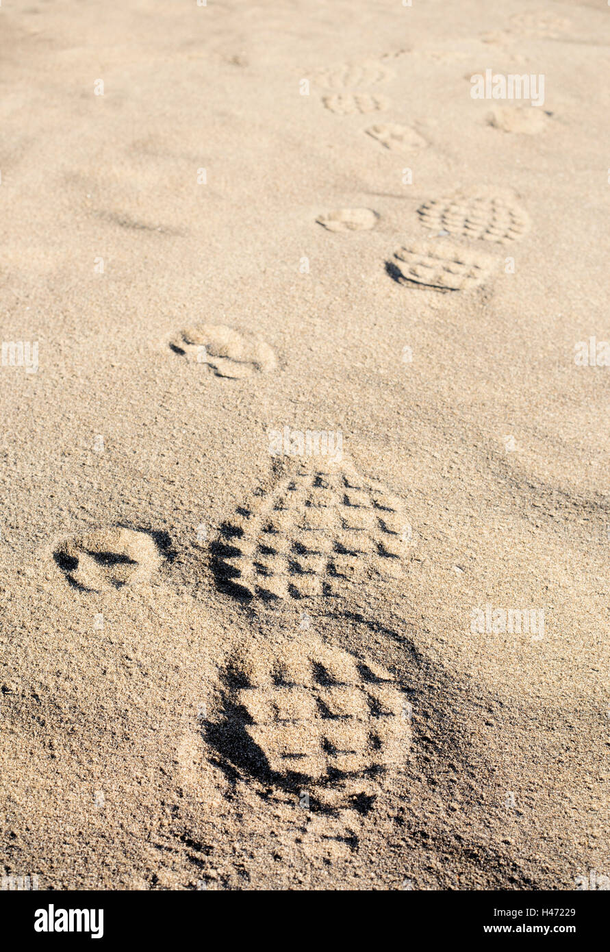Dog and human footmarks on sand. Stock Photo