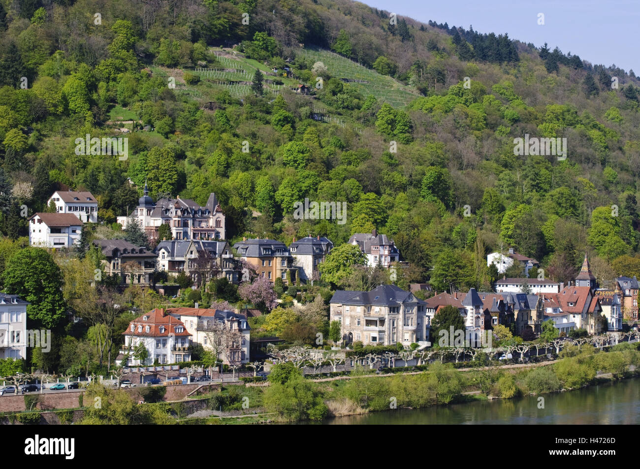 Heidelberg, villas on the Neckar, philosopher's path above the villas, Baden-Württemberg, Germany, Stock Photo