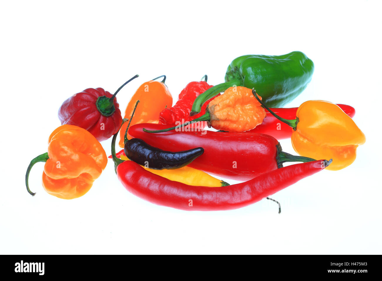several chili pepper, Capsicum annuum Stock Photo Alamy