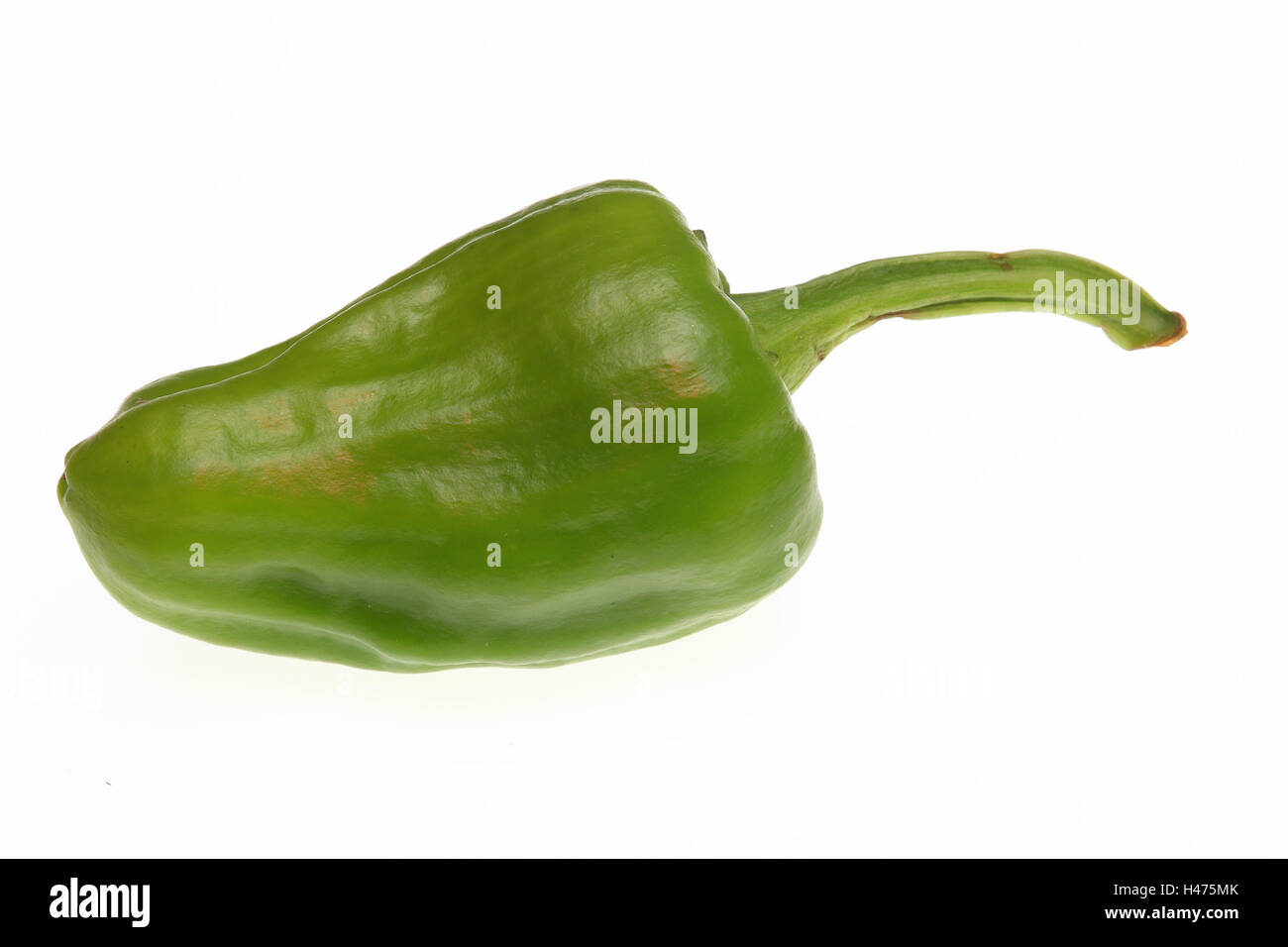 green Jalapeno, chili pepper, Capsicum annuum Stock Photo