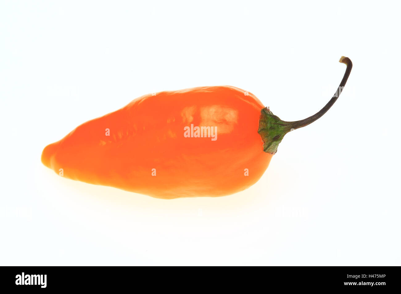 yellow chili pepper, Capsicum annuum Stock Photo