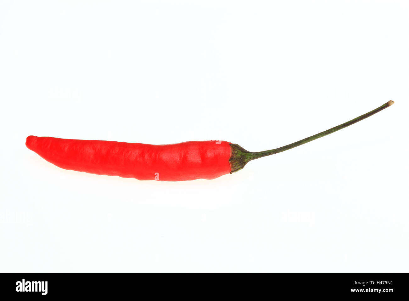 red Tabasco, chili pepper, Capsicum annuum Stock Photo