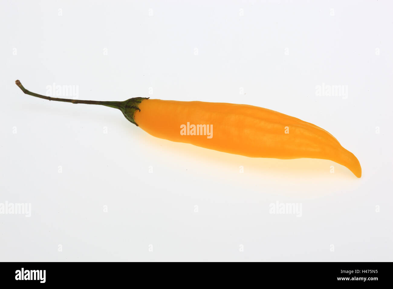 yellow Chayenne, chili pepper, Capsicum annuum Stock Photo Alamy