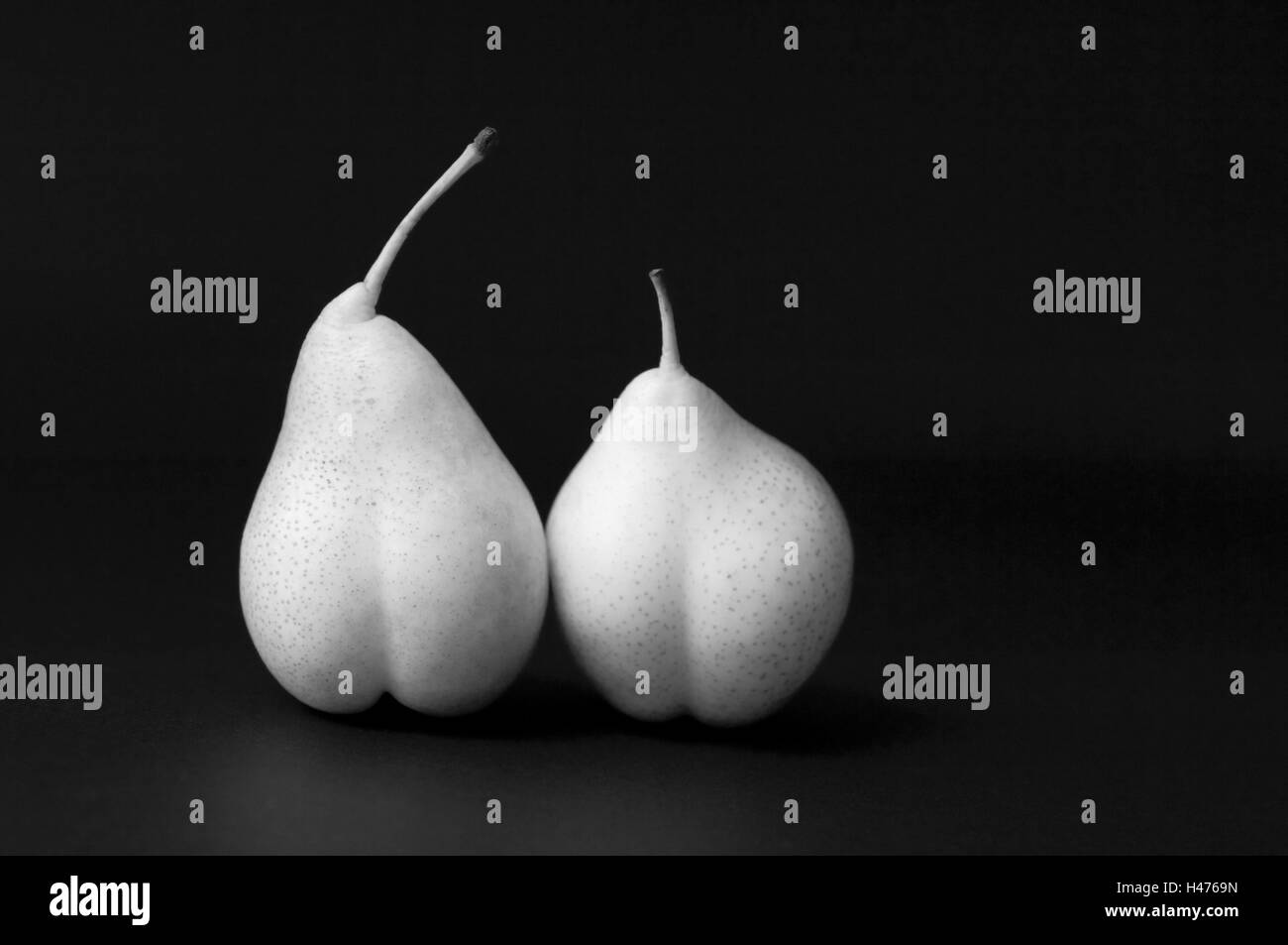 two pears, Pyrus, s/w, Stock Photo