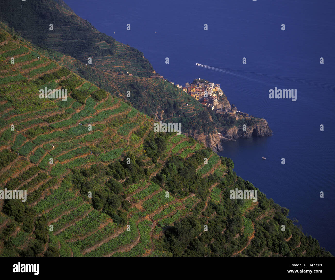 Italy, Liguria, Cinque Terre, Manarola, view Volastra, Stock Photo