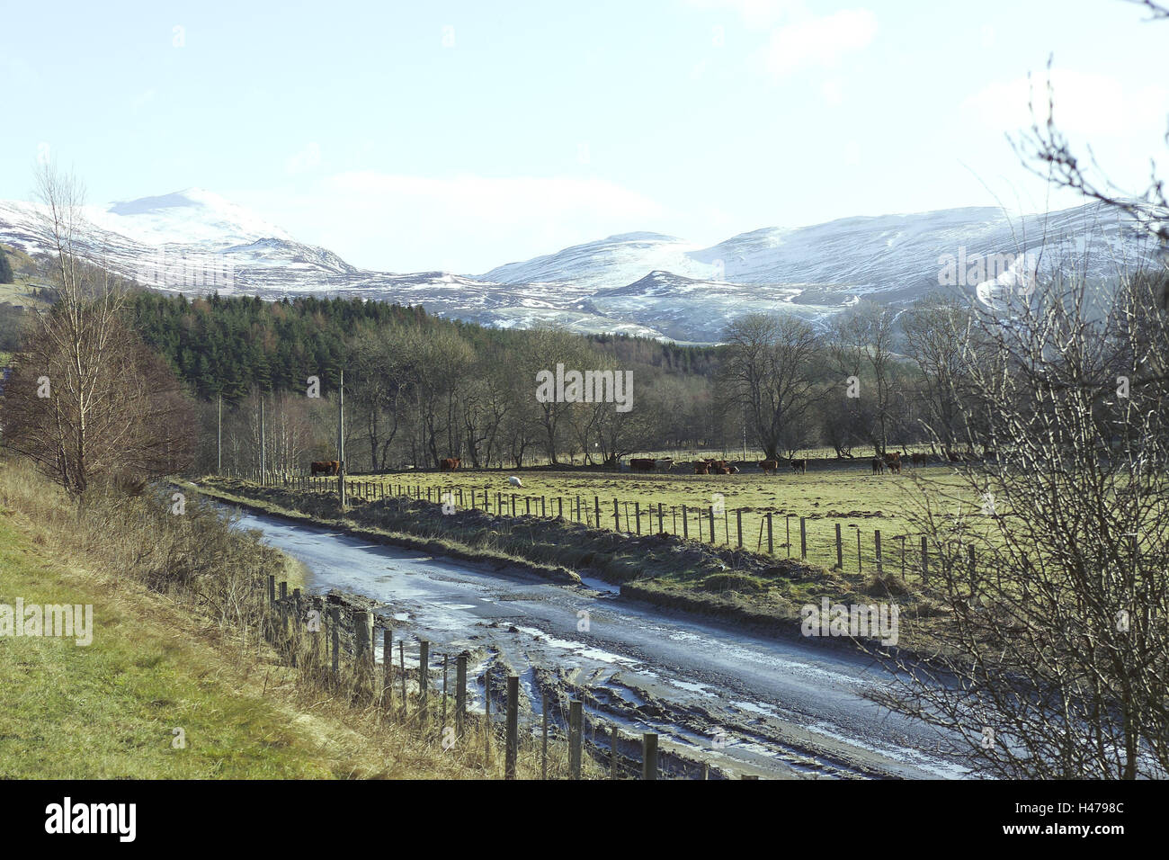 Scotland, Inverness, way, scenery, pasture, winter, panorama, winter, wildly, earthy, rough, snow, mountains, snow-covered, quietly, outside, to travel, place of interest, vacation, tourism, nobody, Stock Photo