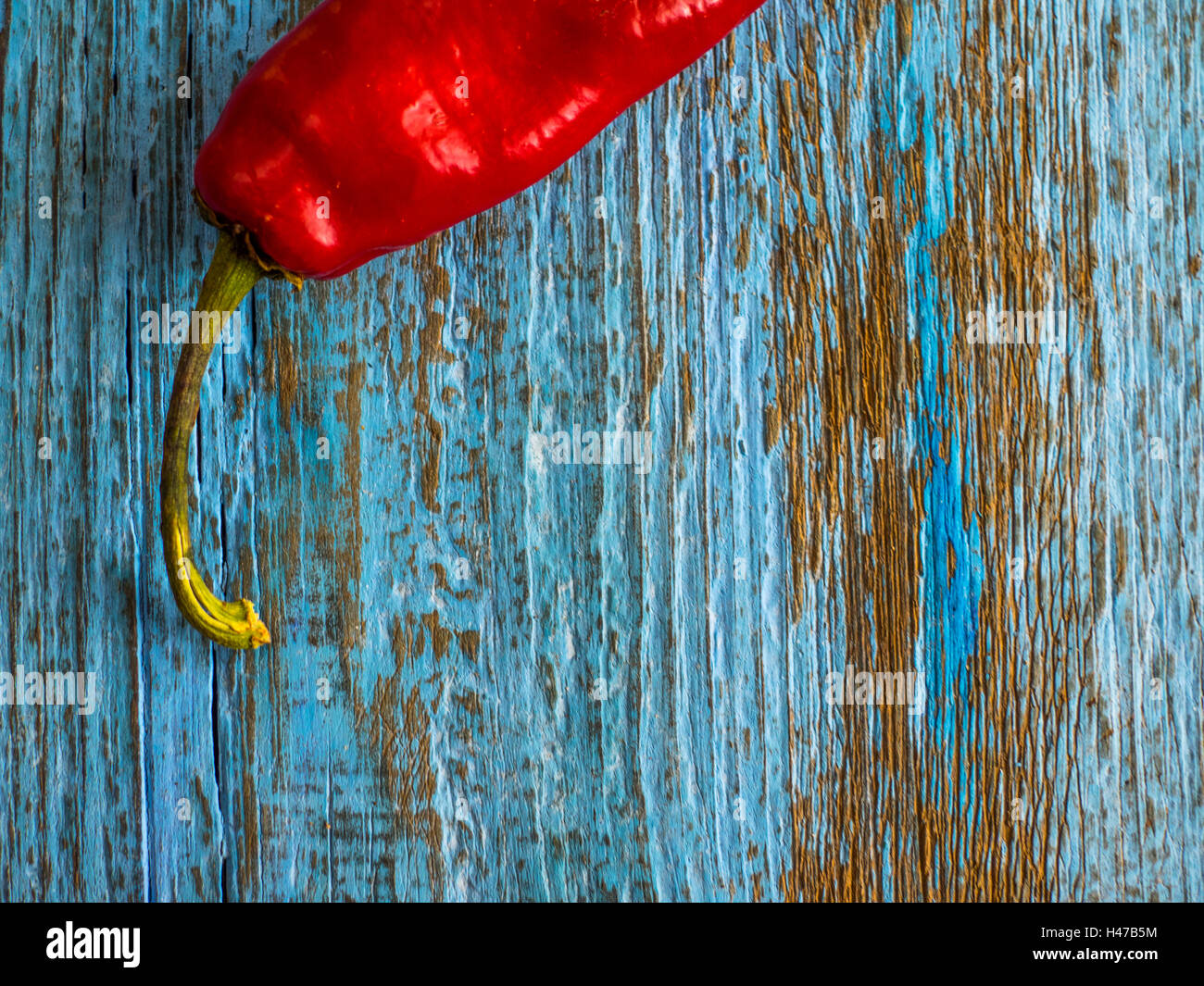 Red hot natural chili pepper on blue wooden weathering background Stock Photo