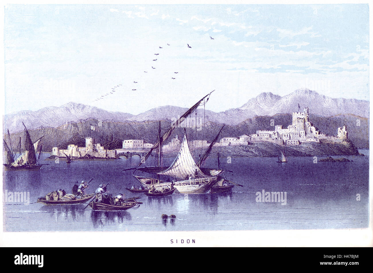 A coloured illustration of Sidon scanned at high resolution from a book printed in 1868. Believed to be free of all copyright. Stock Photo