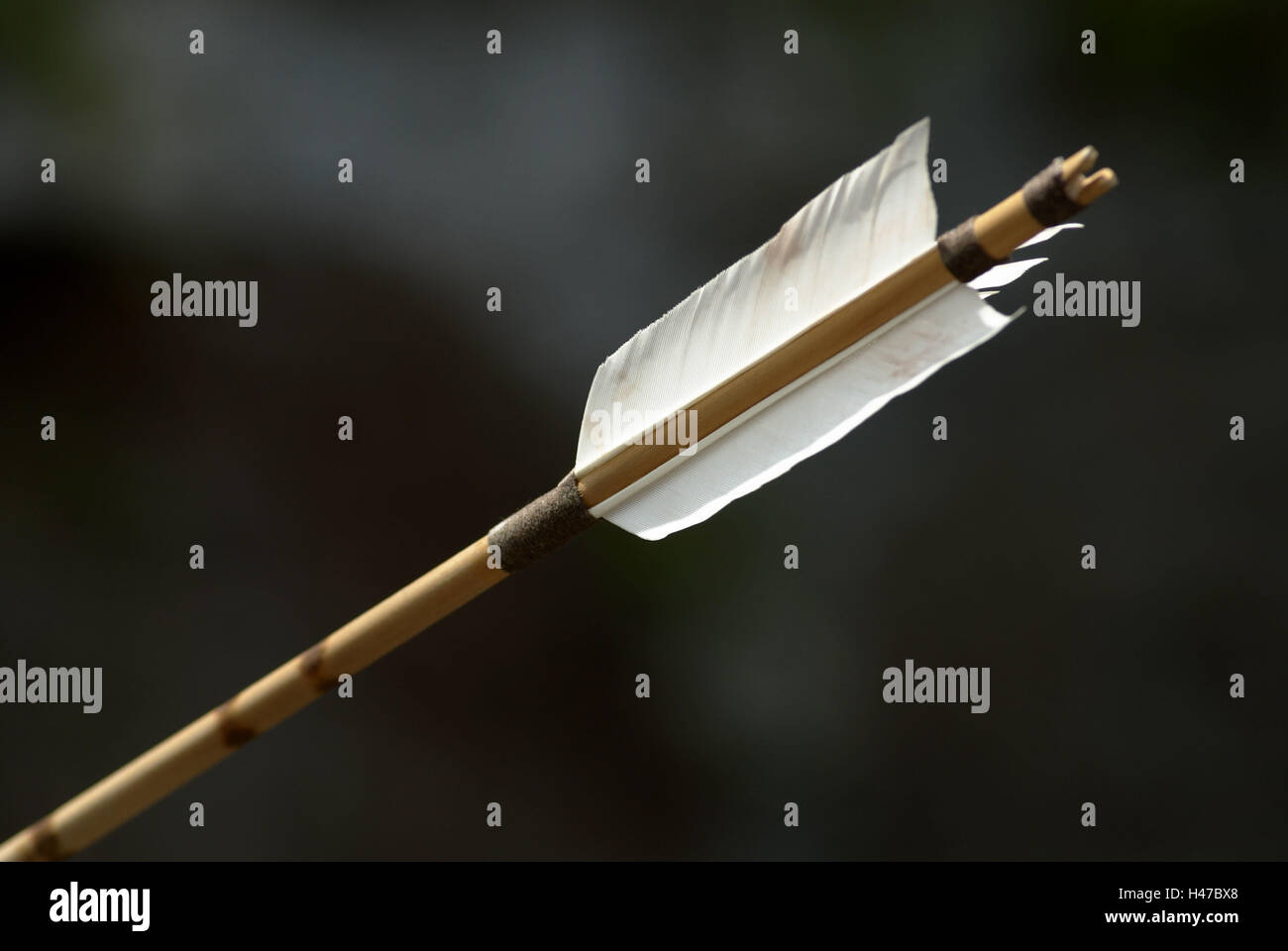 Arrow, floor, shaft, feathers, cord, Nocke, white, black, Stock Photo