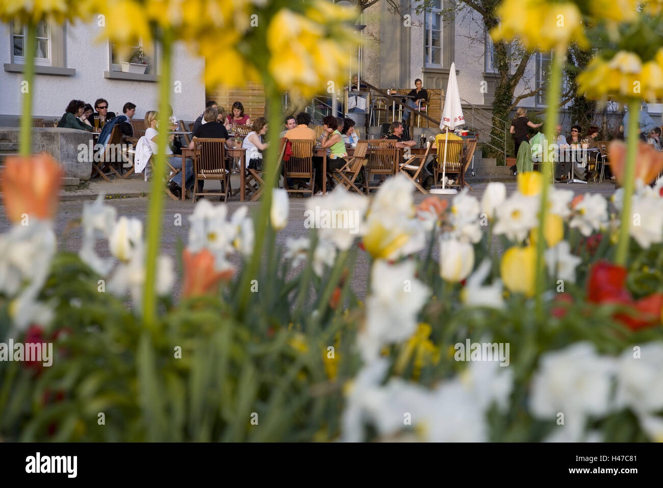 Germany, Baden-Wurttemberg, Überlingen, street bar, flowerbed, detail, blur, town, bar, cafe, street cafe, restaurant, bank promenade, sea promenade, patch, flowers, spring, narcissi, tourism, gastronomy, person, outside, Stock Photo