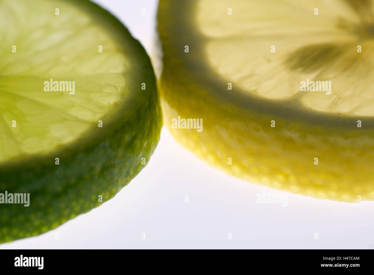 Real lime, lemon, cut open, slices, transmitted light, detail, Food, fruit, fruits, tropical fruits, citrus fruits, chopped, ripe, acidly, juicy, lime slice, slice lemon, vitamins, healthy, freshness, colour, peel, green, yellow, flesh, medium close-up, product photography, curled, studio, Stock Photo