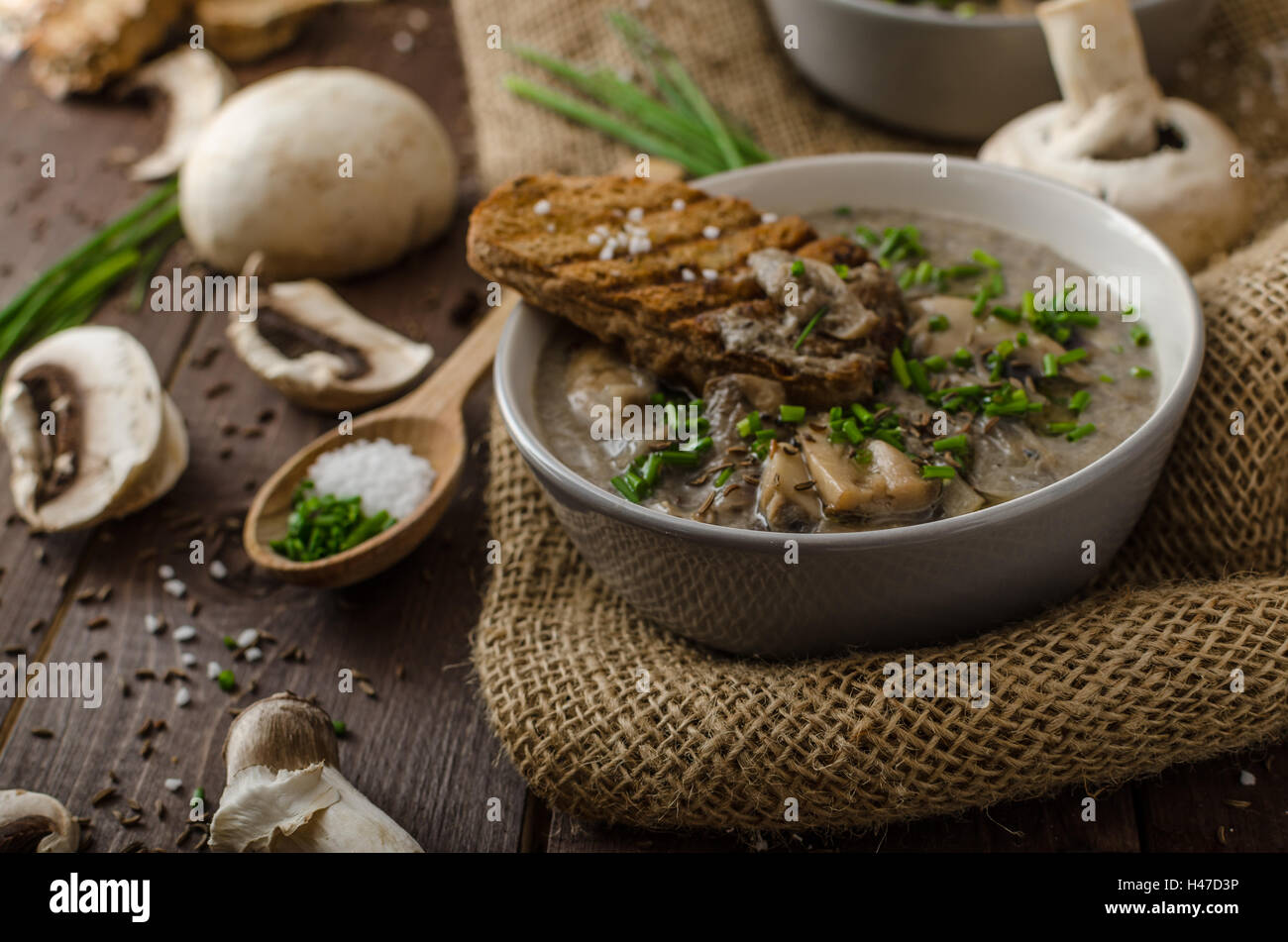 Mushroom soup with chive and herbs, bio healthy wholegrain toast Stock