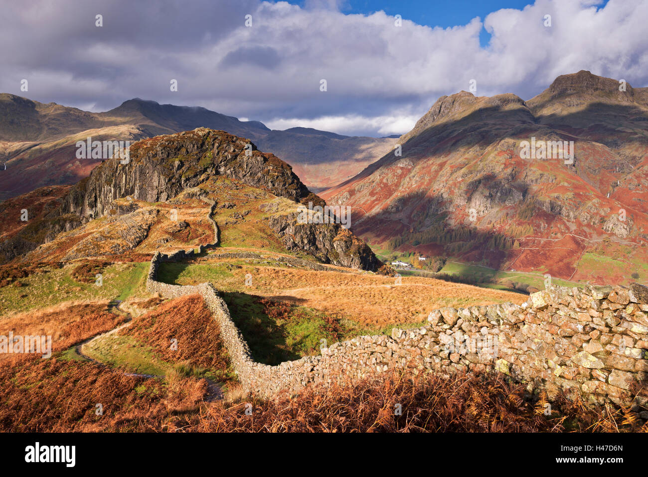 Drystone wall on Lingmoor Fell looking towards Side Pike and the Langdale Valley, Lake District, Cumbria, UK. Autumn (November)  Stock Photo