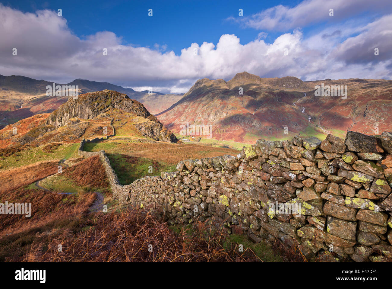 Drystone wall near the Langdale Valley in the Lake District, Cumbria, England. Autumn (November) 2014. Stock Photo
