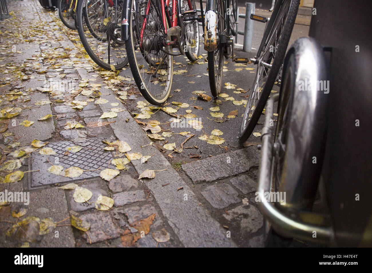 Roadside, bicycle stand, wheels, detail, autumn, street, parking bay, bicycles, stand, put down, sidewalk, foliage, autumn foliage, nobody, Stock Photo