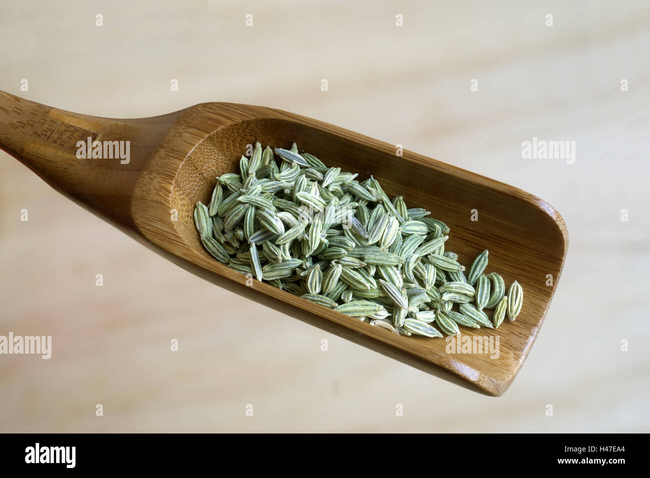 Fennel, spoon, fennel fruits, spice, tea drug, woodwork spoon, woodwork